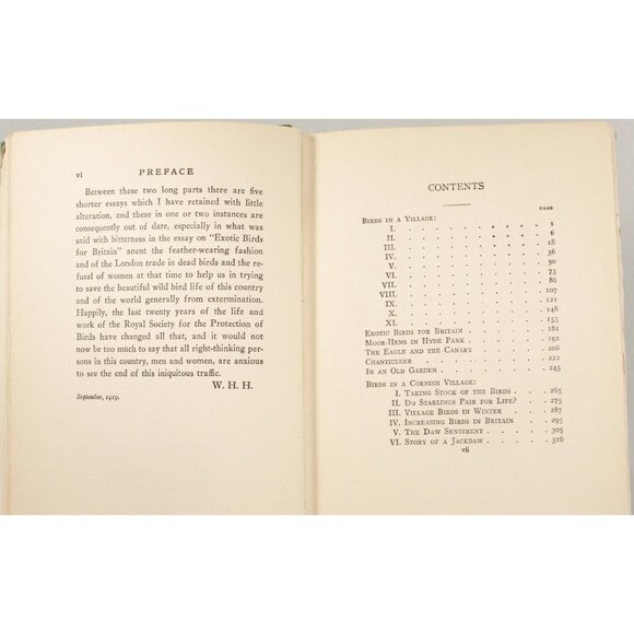 Antique Book "Birds in Town & Village" by W H Hudson, 1920, E P Dutton 1st Ed. - Picture 4 of 9